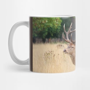 Red Deer Stag Mug